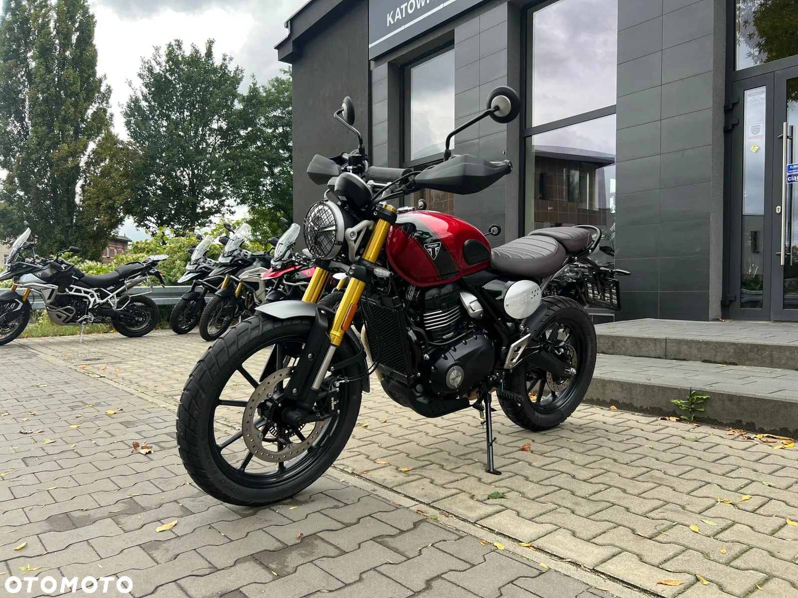 Triumph Scrambler - 7