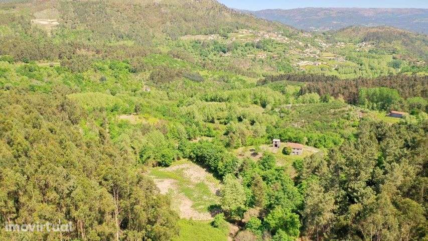 Quinta com moradia em pedra e terreno com 3 hectares em Celorico Basto - Grande imagem: 4/12