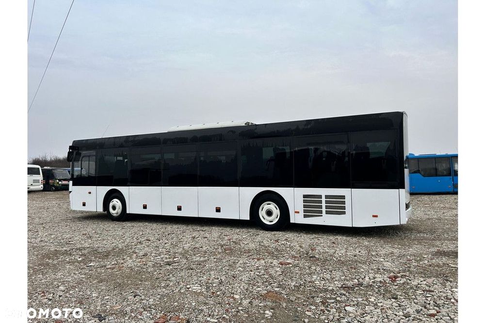 Solaris InterUrbino - 8