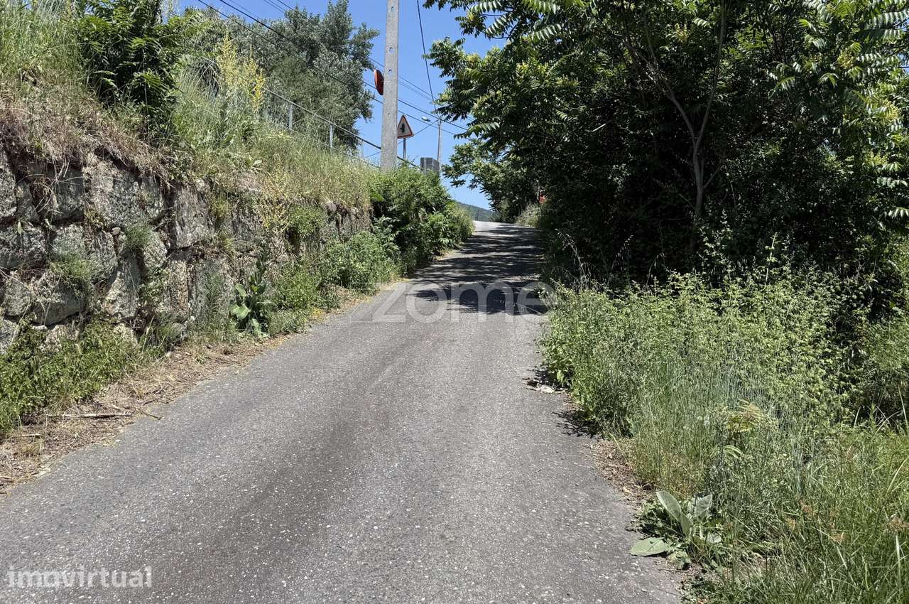 Quinta com lagar e moagem| Teixoso, Covilhã - Grande imagem: 4/33