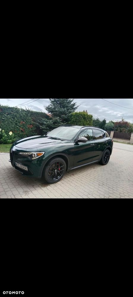 Alfa Romeo Stelvio - 3