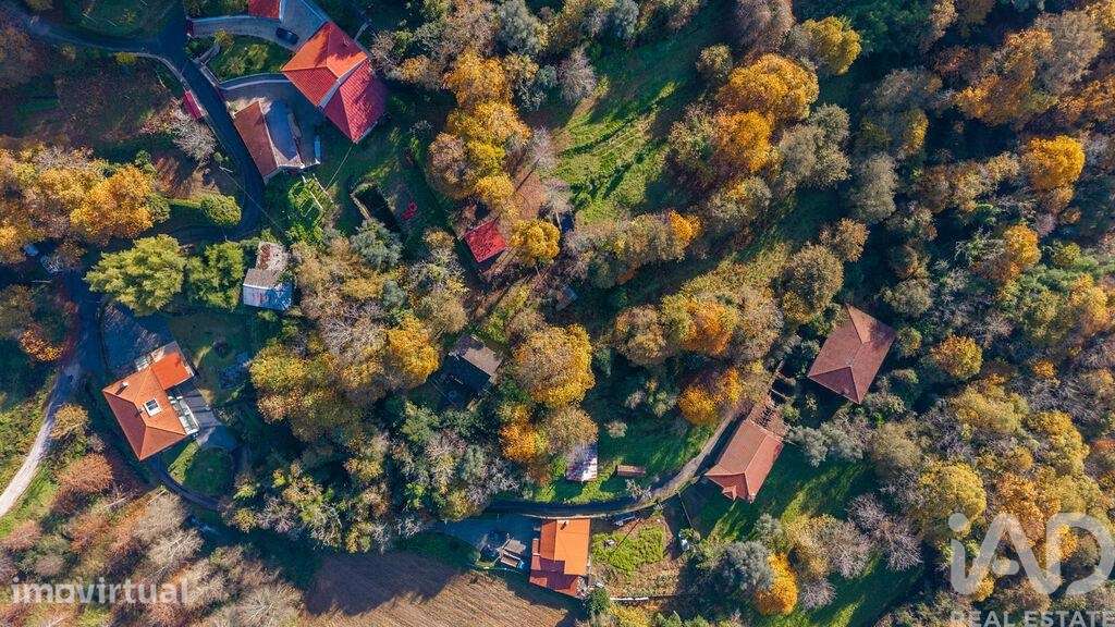Terreno em Esqueiros, Nevogilde e Travassós - Grande imagem: 3/7