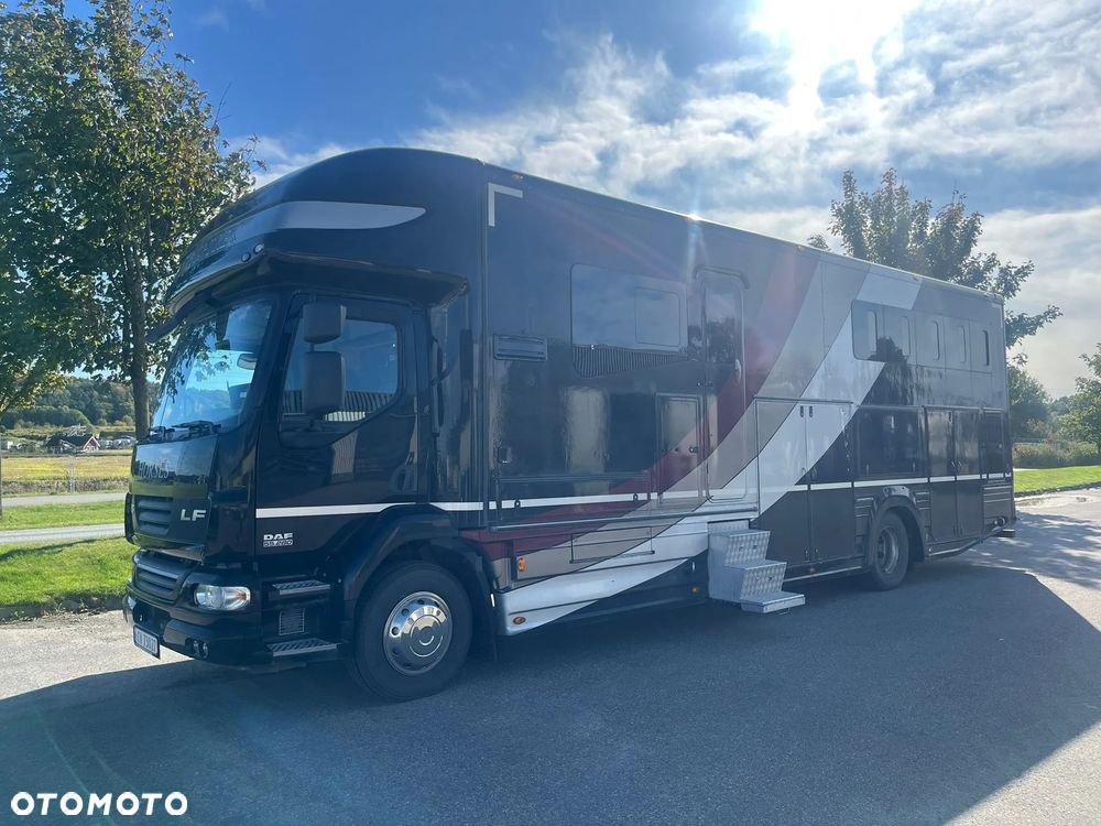 DAF Equitrek Koniowóz, Pop-out - 7