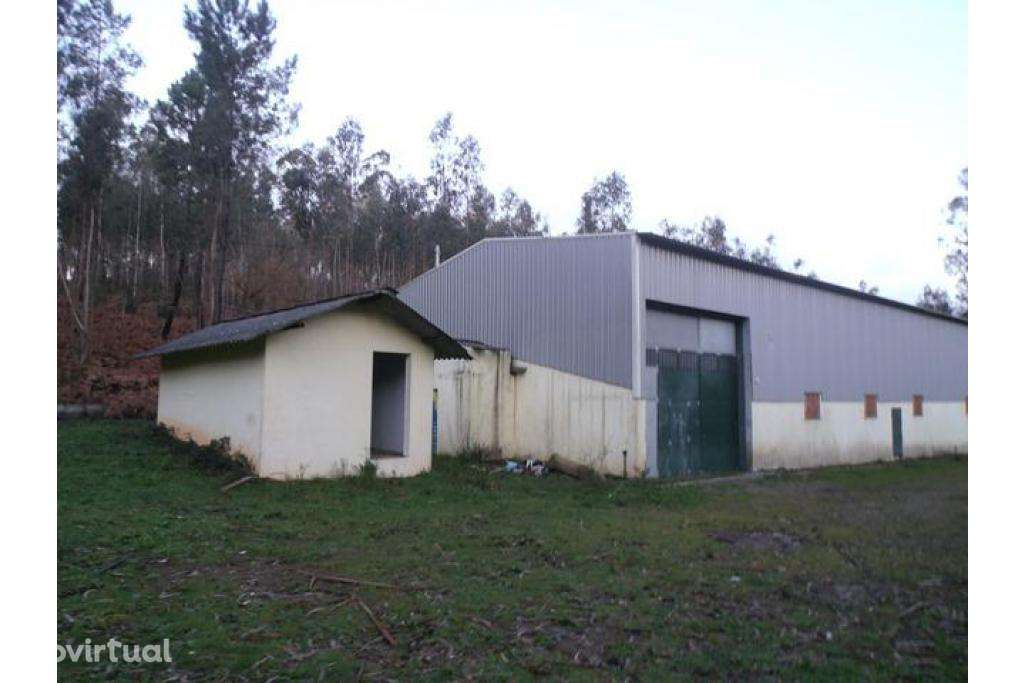 Armazém Ponte de Lima . Anais . A3 - investimento - Grande imagem: 2/5