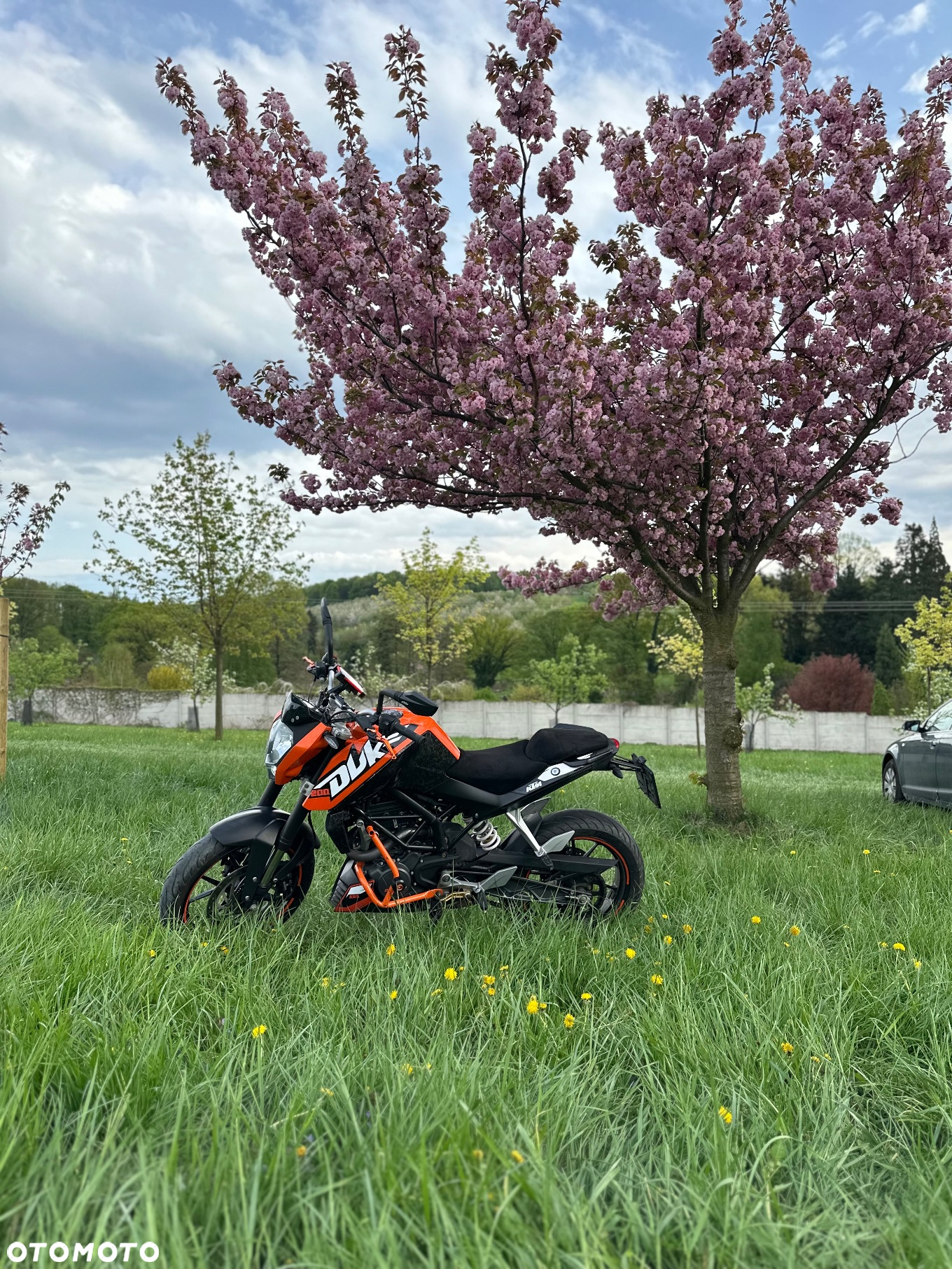 KTM Duke - 15