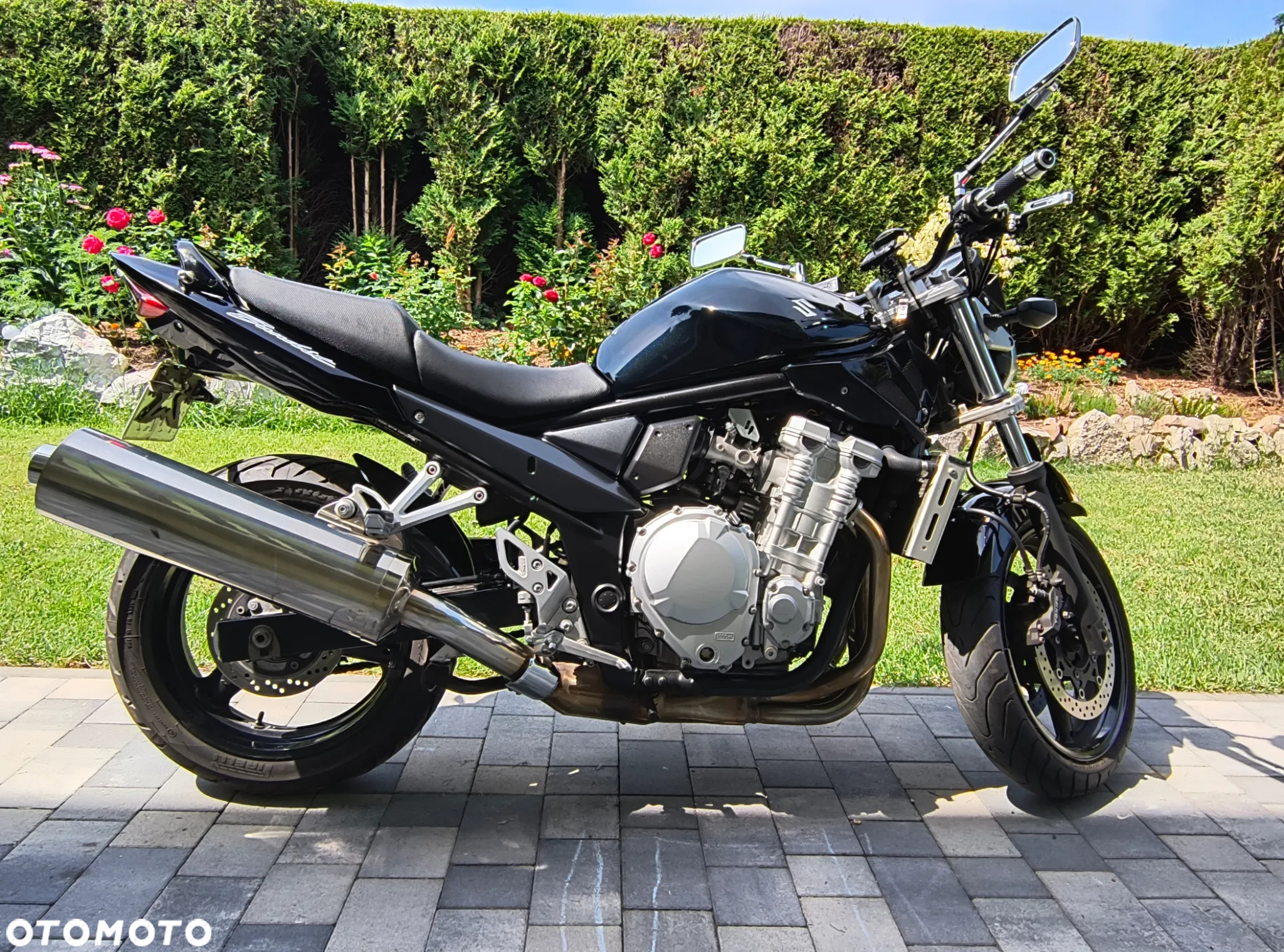 Suzuki Bandit - 6