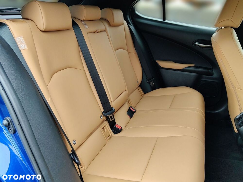Lexus UX 250h GPF F Sport Design 2WD - 16