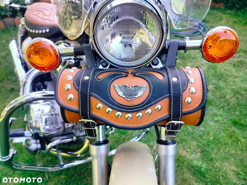 Yamaha Virago - 21
