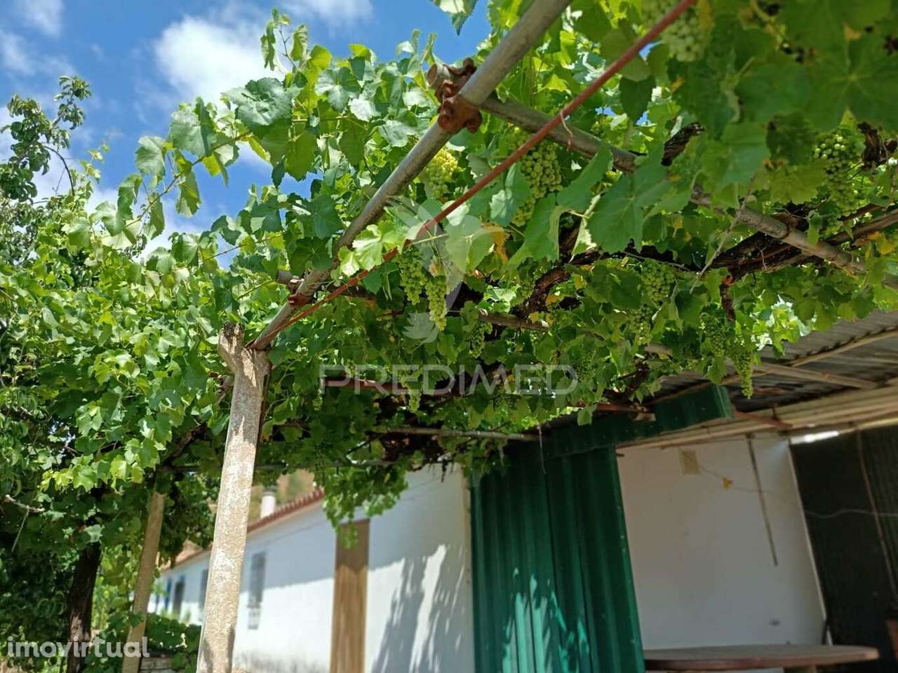 Monte Alentejano com Terreno e Infraestruturas – São Barnabé, Almod... - Grande imagem: 5/33