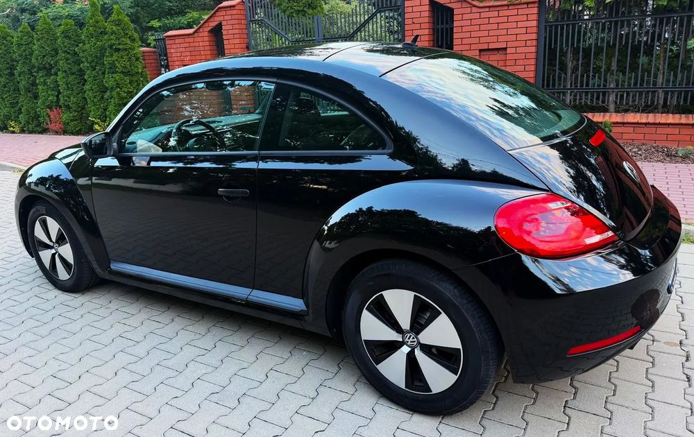 Volkswagen Beetle - 20