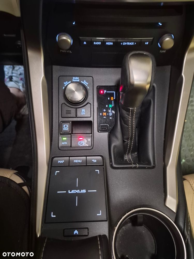 Lexus NX 300 Elegance AWD - 10