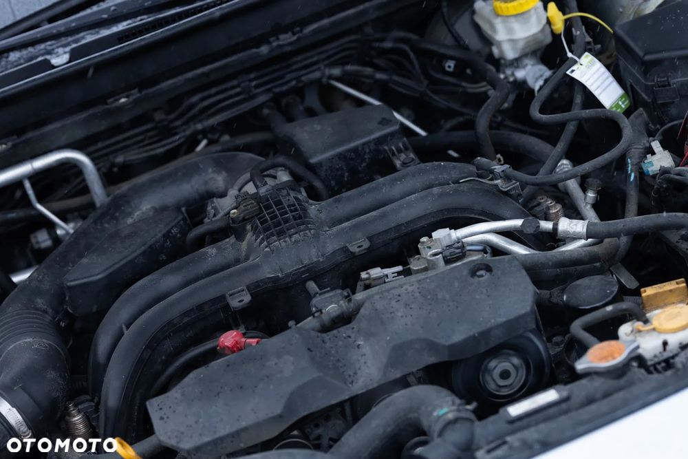 Subaru Outback - 21