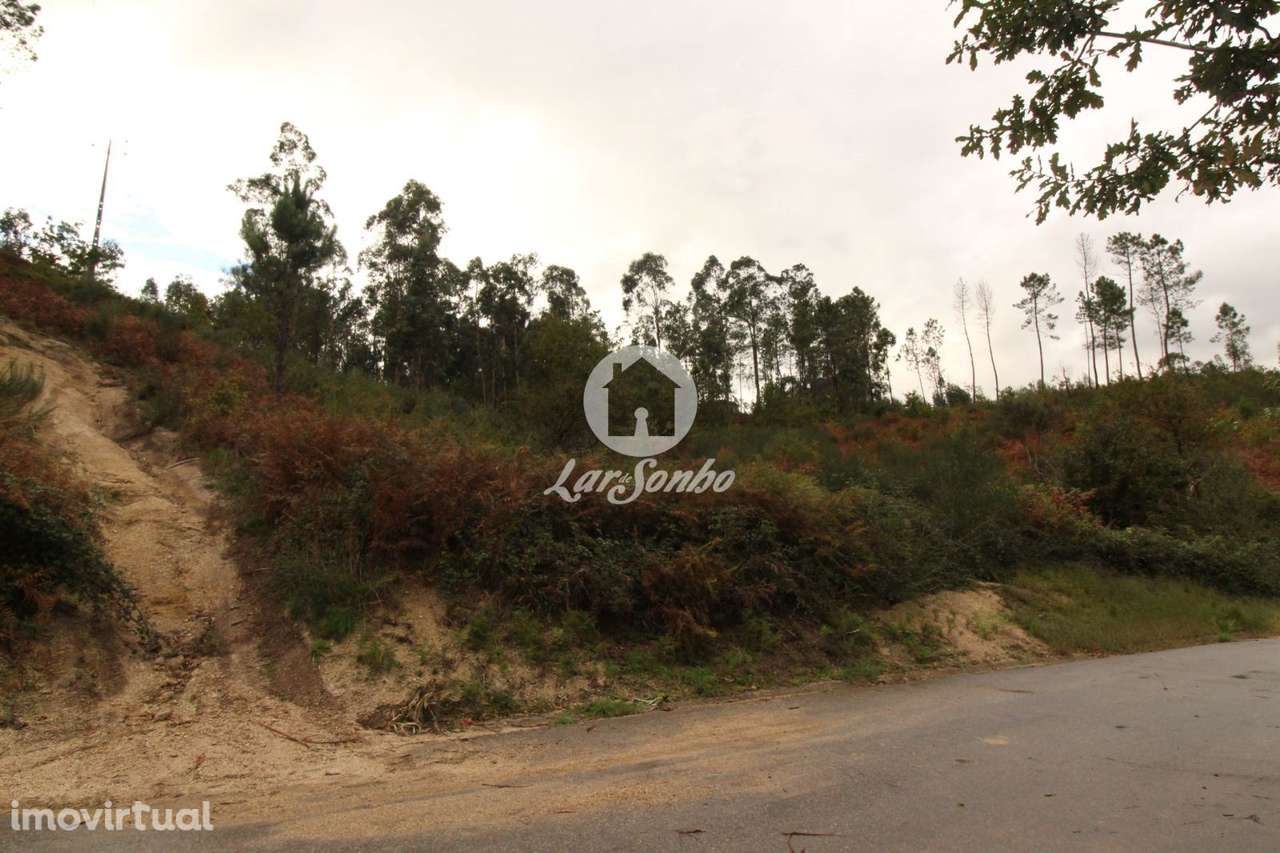 Terreno Venda Agilde Celorico de Basto - Grande imagem: 3/8