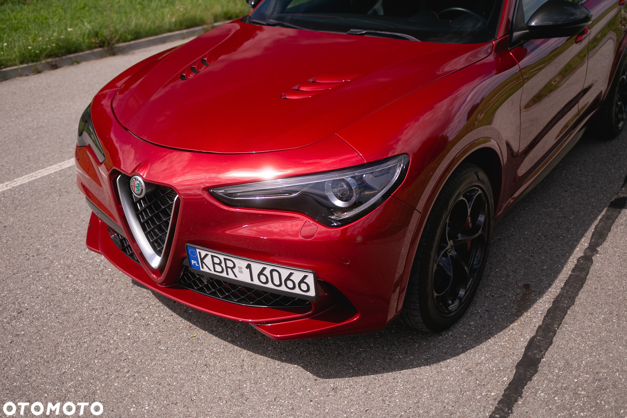 Alfa Romeo Stelvio 2.9 Bi Turbo V6 Quadrifoglio Q4 - 3