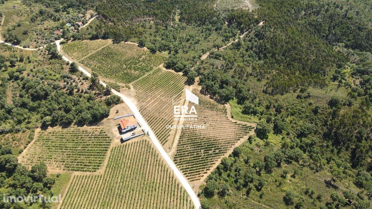 Terreno localizado na Serra, Tomar - Grande imagem: 4/25