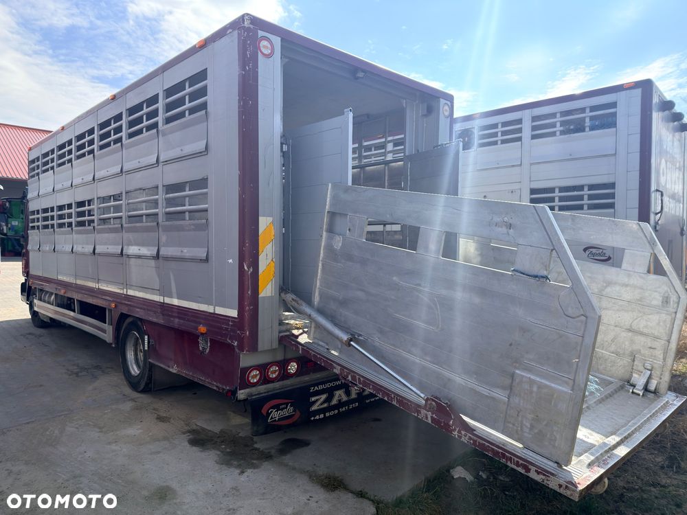 Iveco Eurocargo - 3