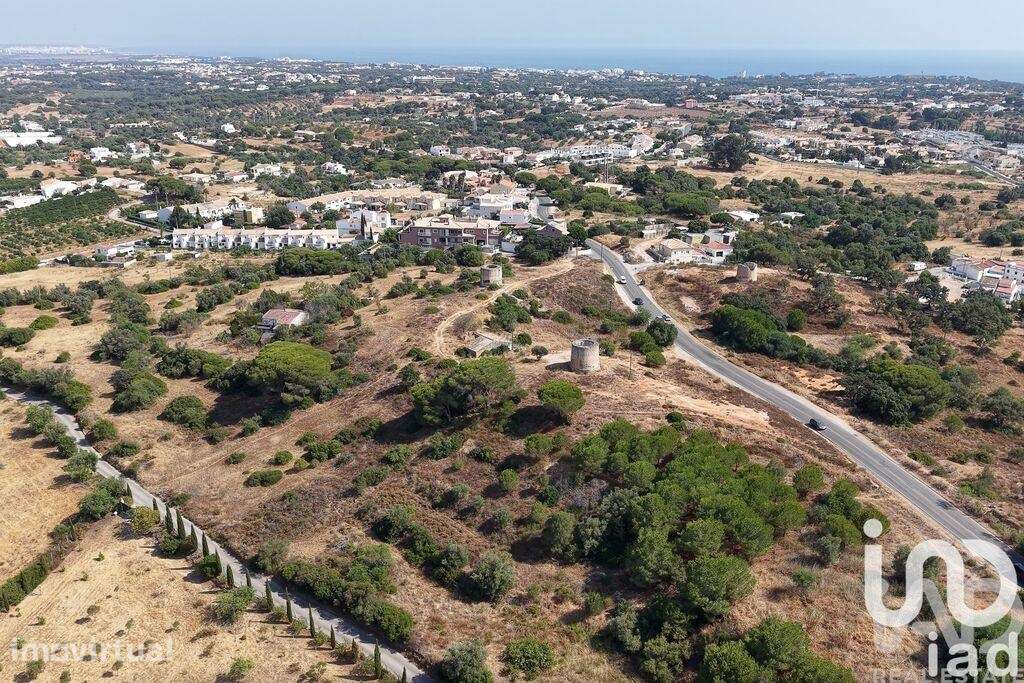 Terreno misto em Ferreiras - Grande imagem: 3/9