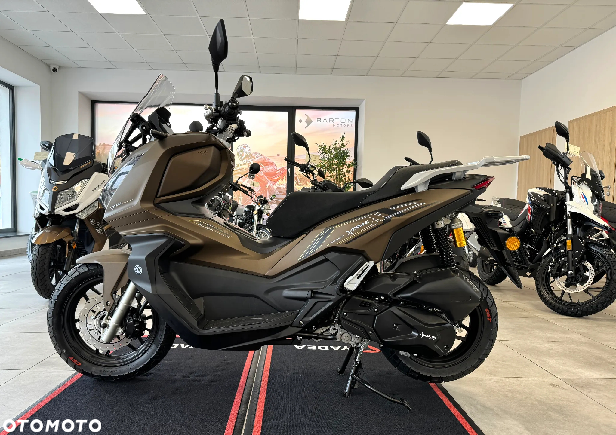 Barton X-Trail - 13