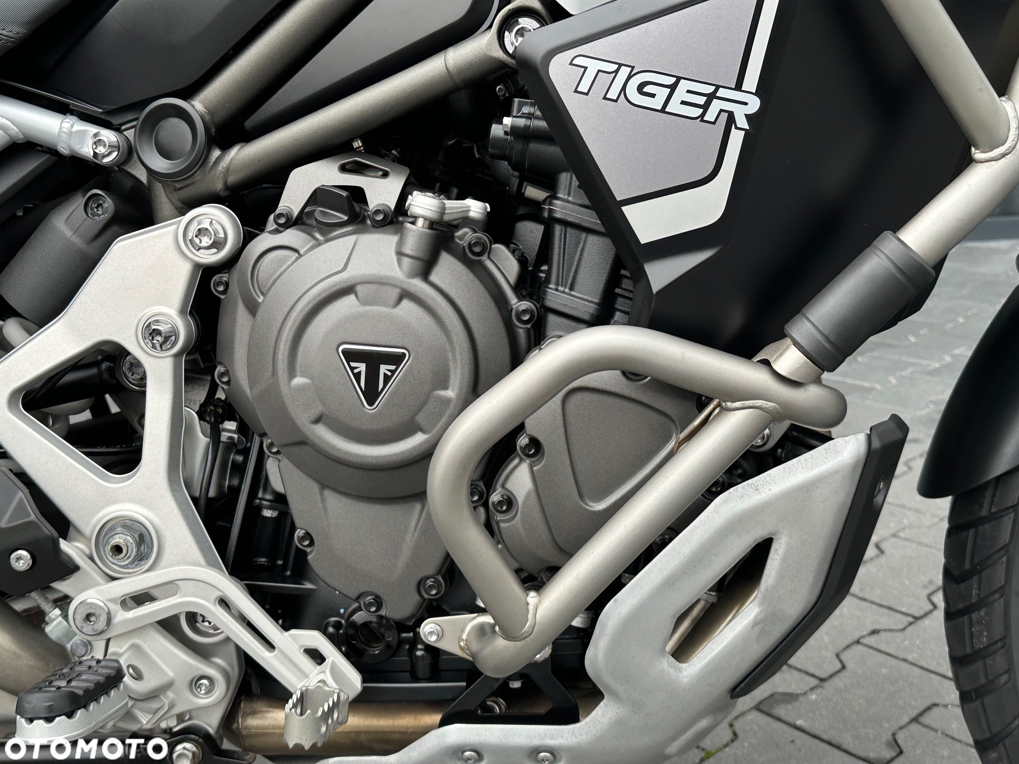 Triumph Tiger - 17