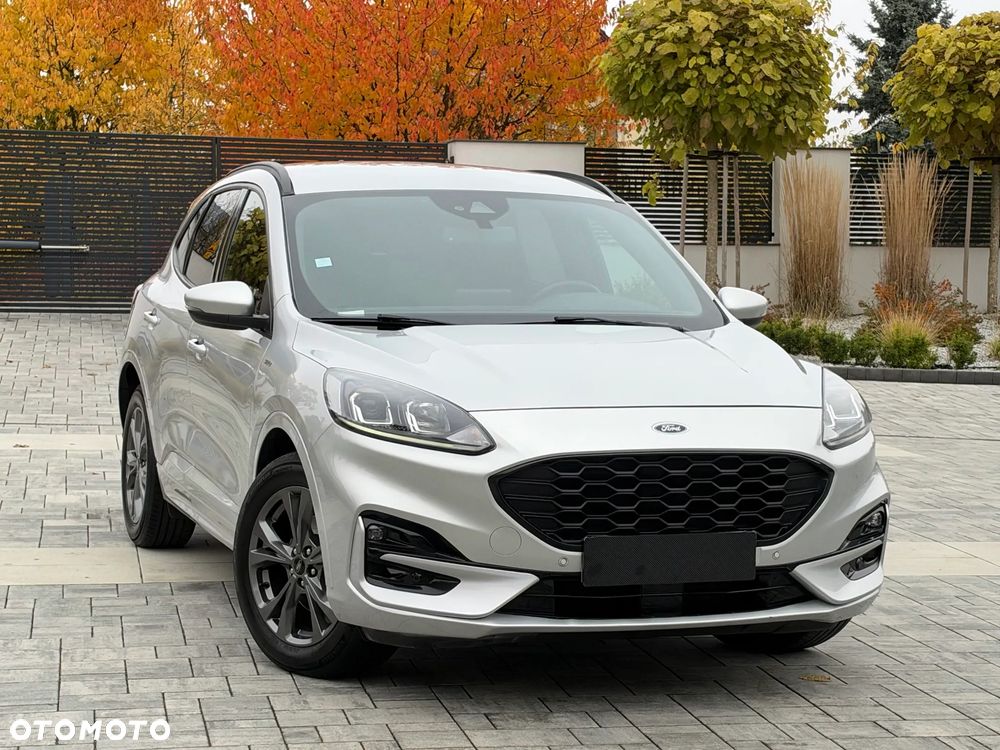 Ford Kuga 2020 photo 3