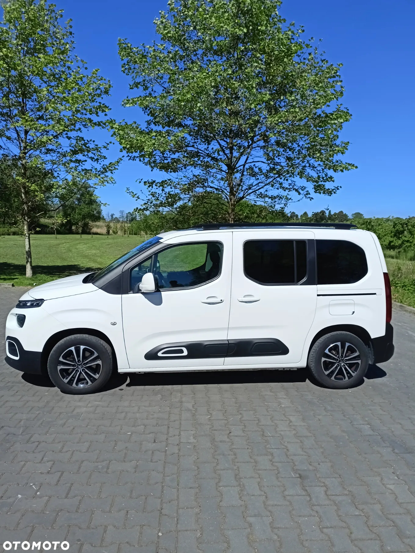 Citroën Berlingo M 1.5 BlueHDI Shine S&S N1 - 2