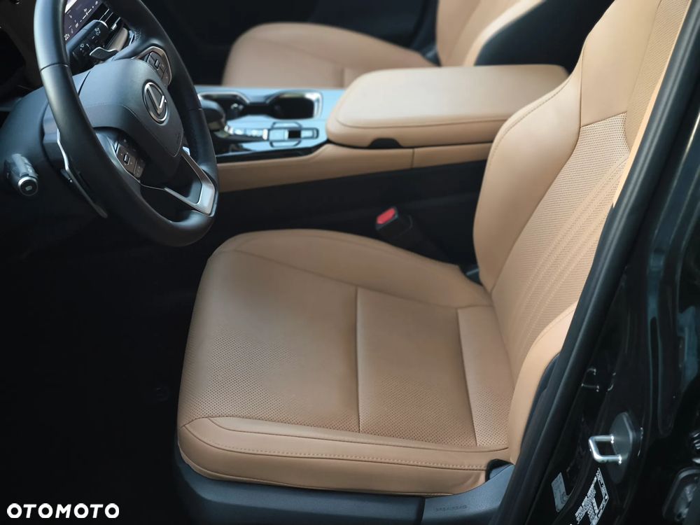 Lexus NX - 16