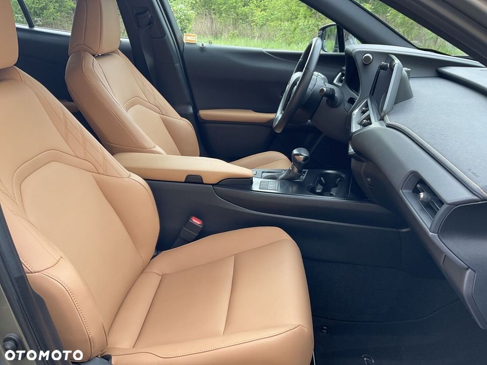 Lexus UX 250h GPF F Sport Design 2WD - 11