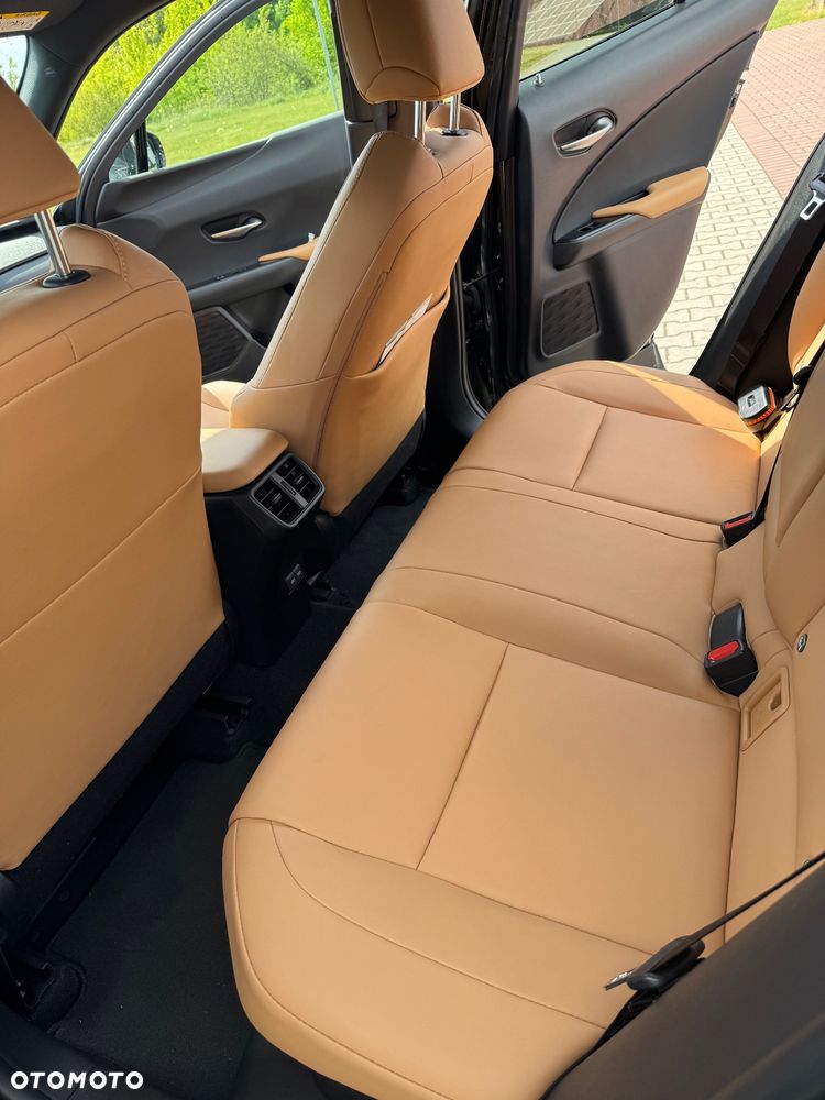 Lexus UX 250h F Sport 2WD - 12