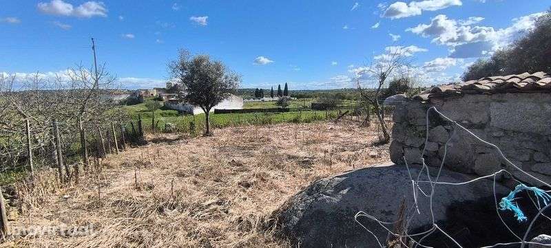 Terreno p/Urbanização - Grande imagem: 3/5