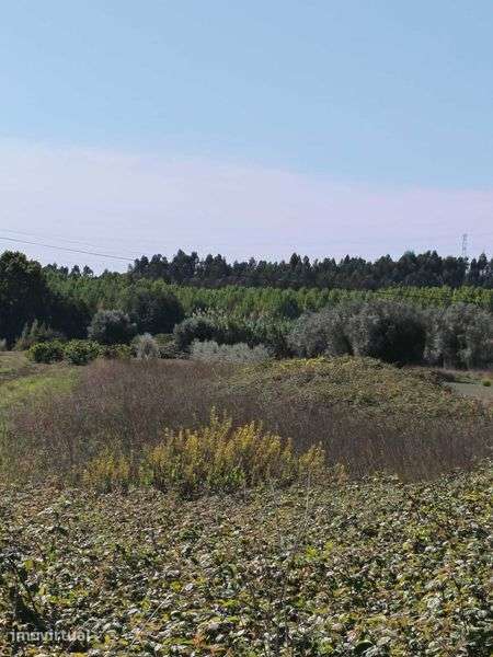 Terreno para venda - Grande imagem: 4/6