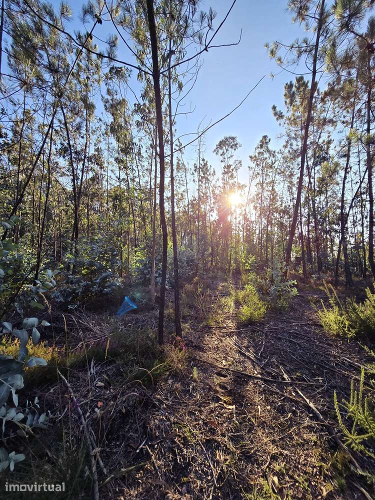 Terreno  Venda em Laundos,Póvoa de Varzim - Grande imagem: 5/11