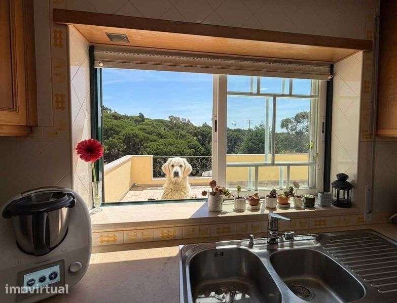 Moradia Isolada T4 com Vista Mar, Piscina e 2.000m² de Terreno - Grande imagem: 5/12