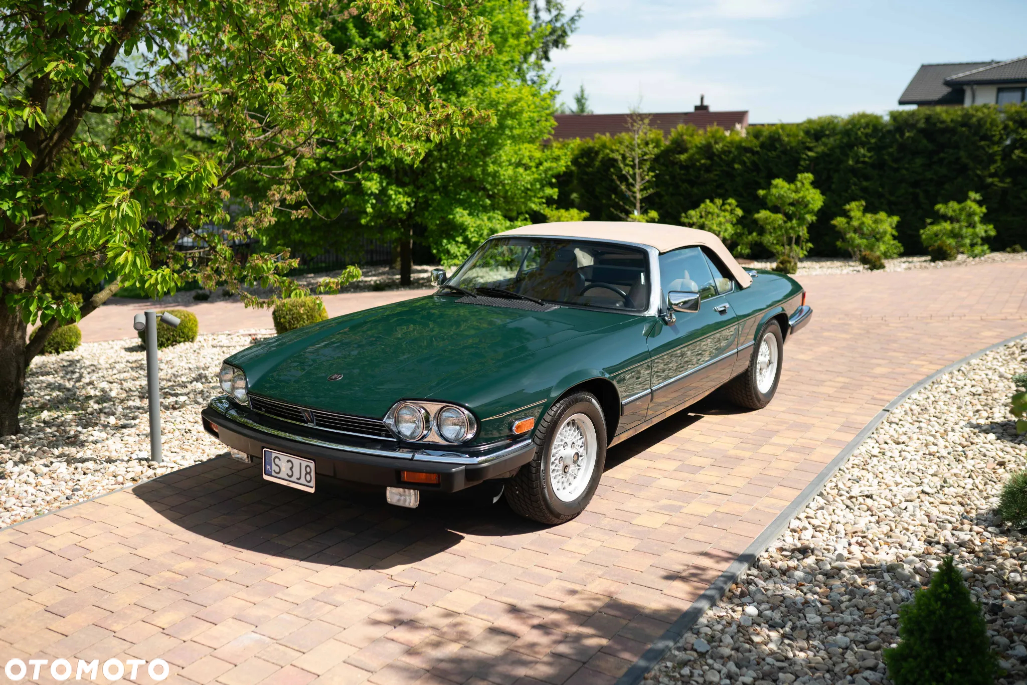 Jaguar XJS - 3