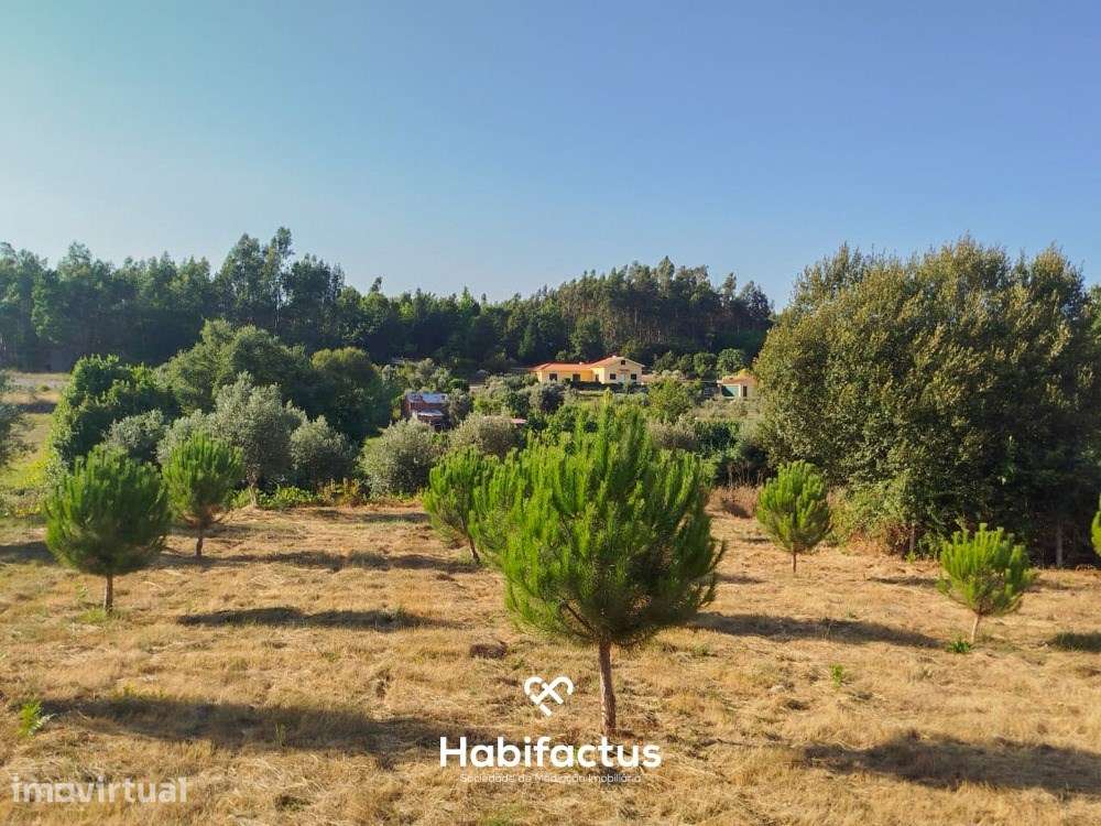 Terreno para venda com Cerca de 1 Hectare  – Tondela - Grande imagem: 2/11