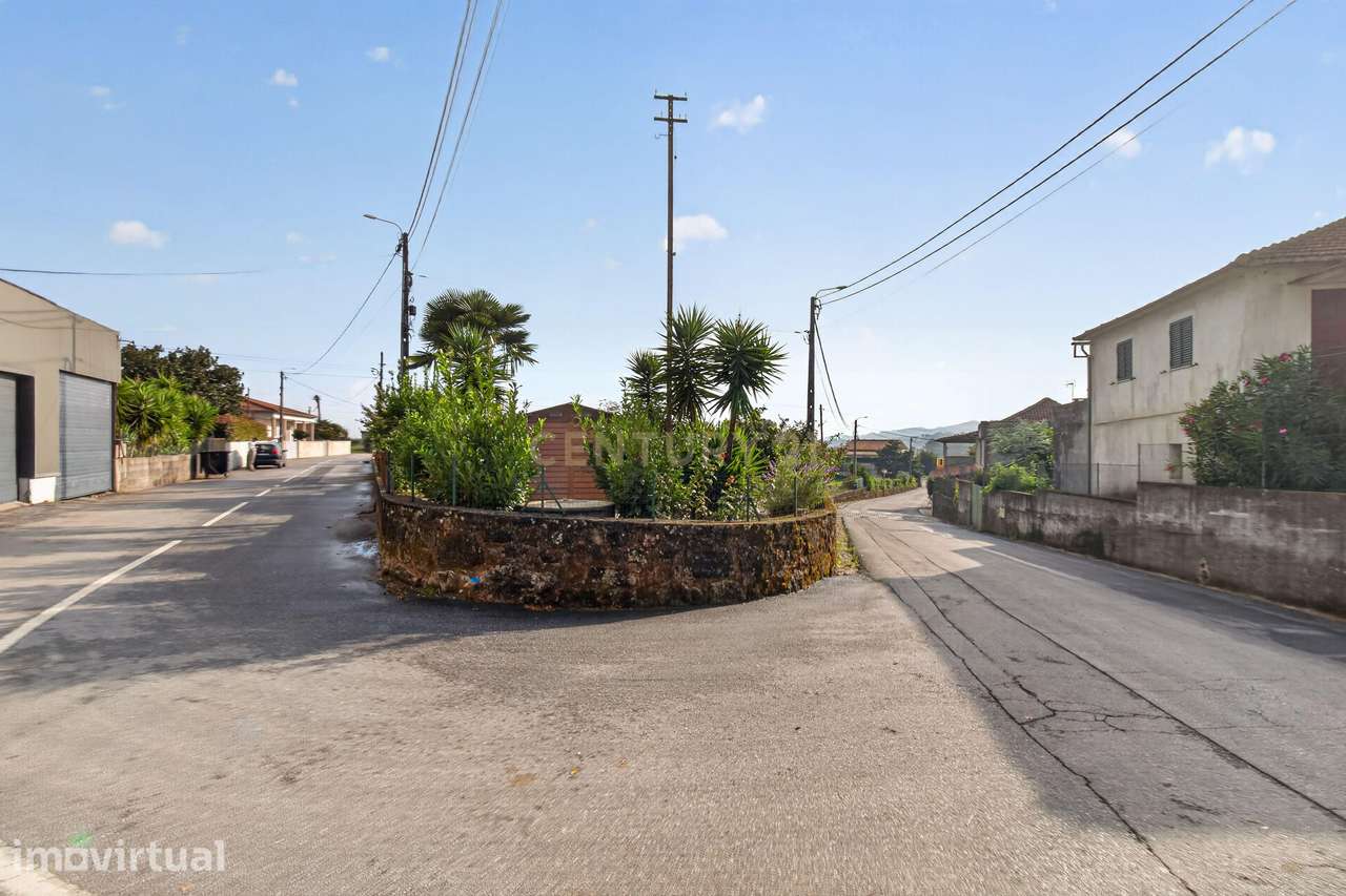 Terreno de construção em Alvito S. Martinho. - Grande imagem: 4/20