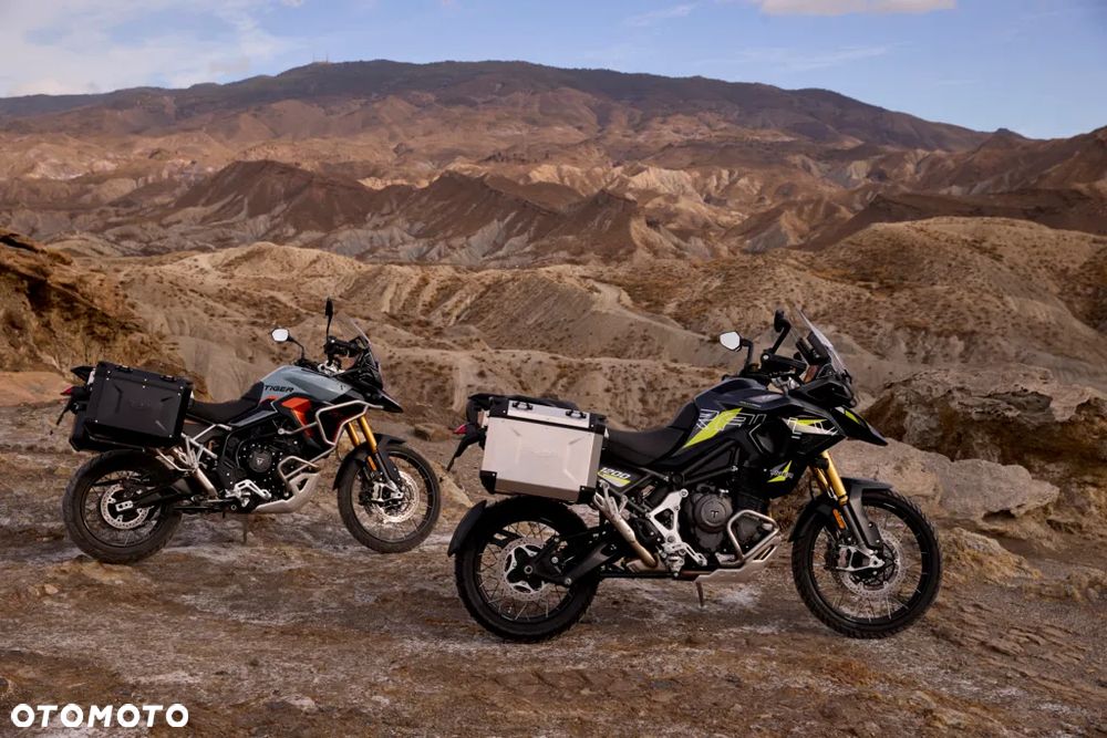 Triumph Tiger - 16