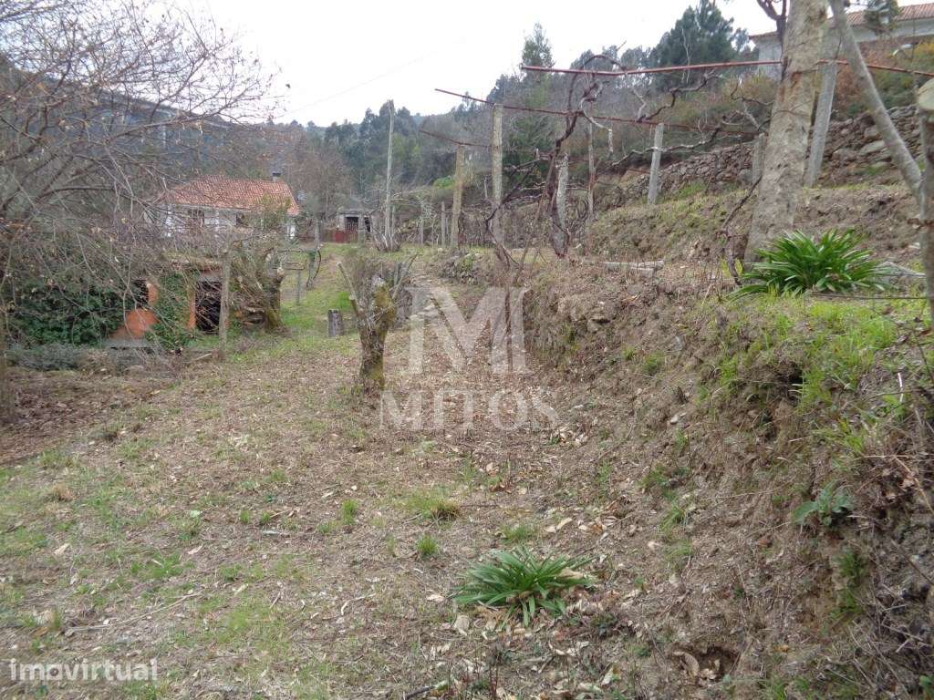 Terreno com ruina para venda na Labruja - Ponte de Lima - Grande imagem: 2/16