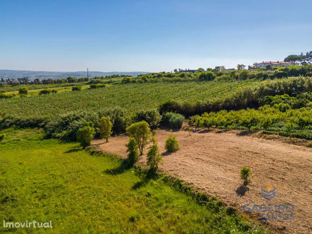 Terreno com projeto aprovado para uma moradia T3, licença a levanta... - Grande imagem: 4/22