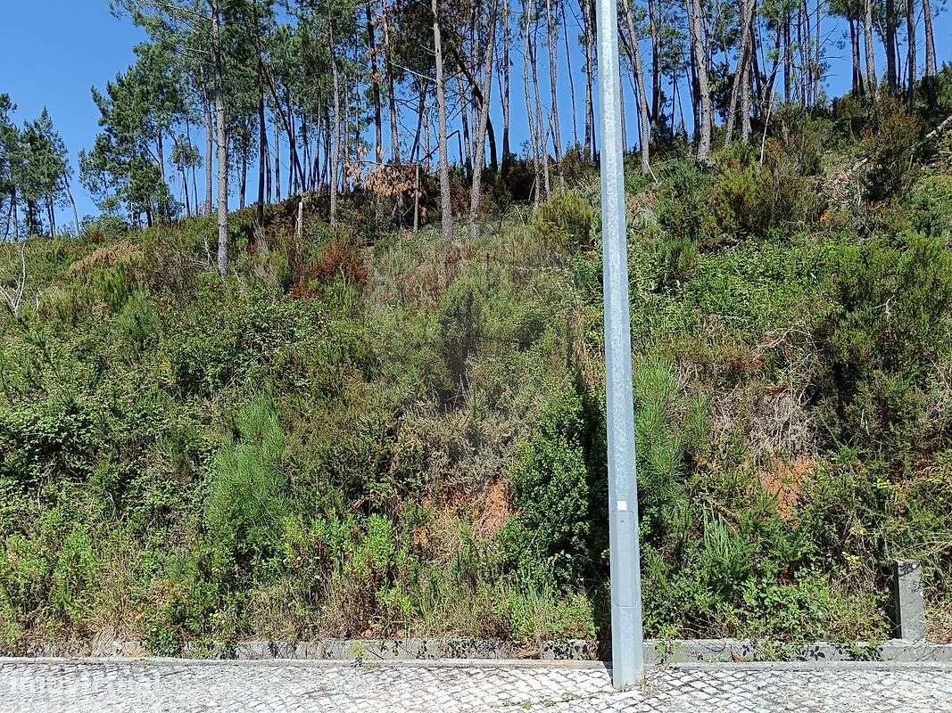 Terreno  para venda - Grande imagem: 4/5
