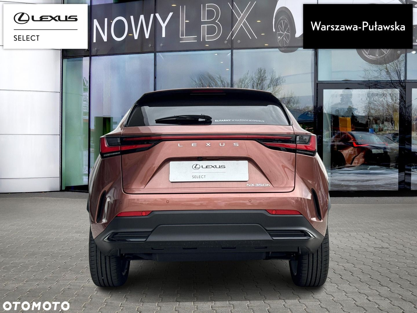 Lexus NX - 8