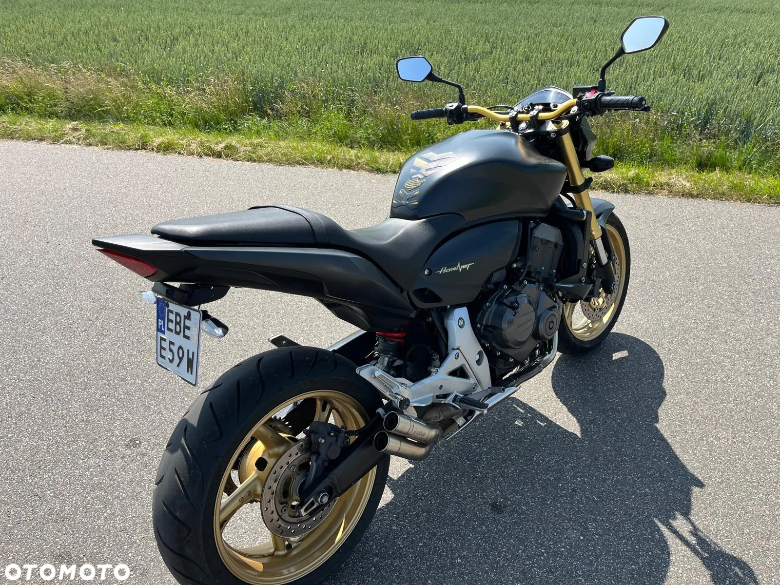Honda Hornet - 9