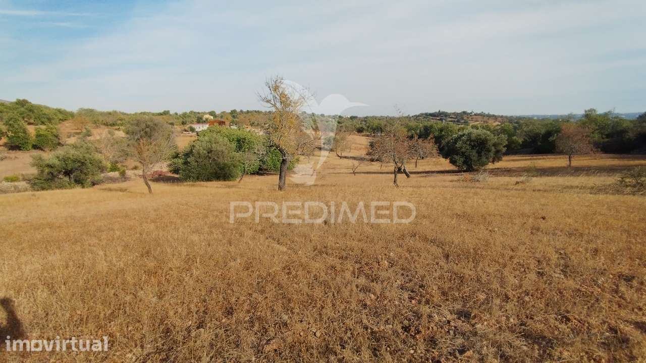 Terreno rustico vista mar Alcaria Cova Estoi - Grande imagem: 5/9