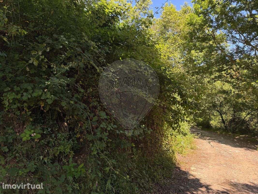 Terreno  para venda - Grande imagem: 4/16