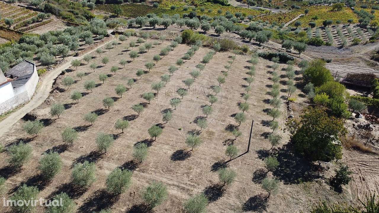 Terreno  para venda - Grande imagem: 3/14
