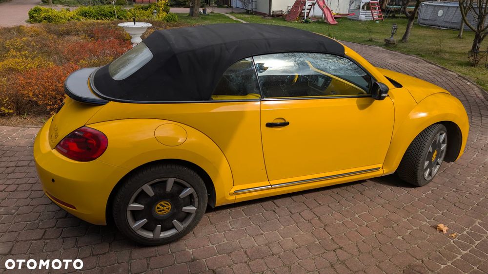 Volkswagen Beetle - 2