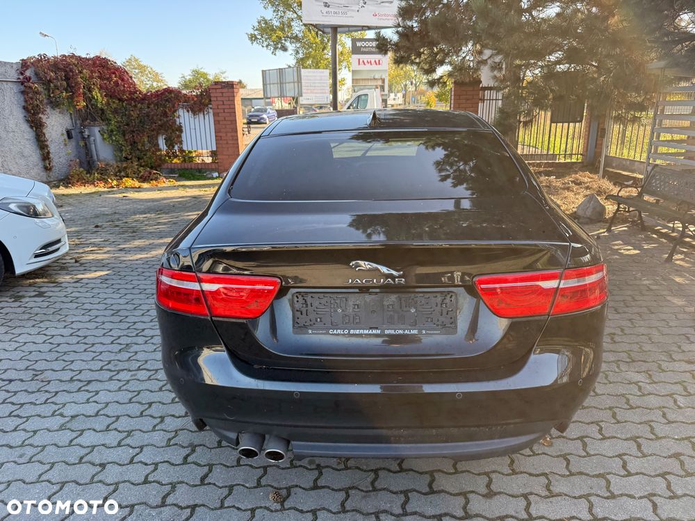 Jaguar Xe 2017 photo 5