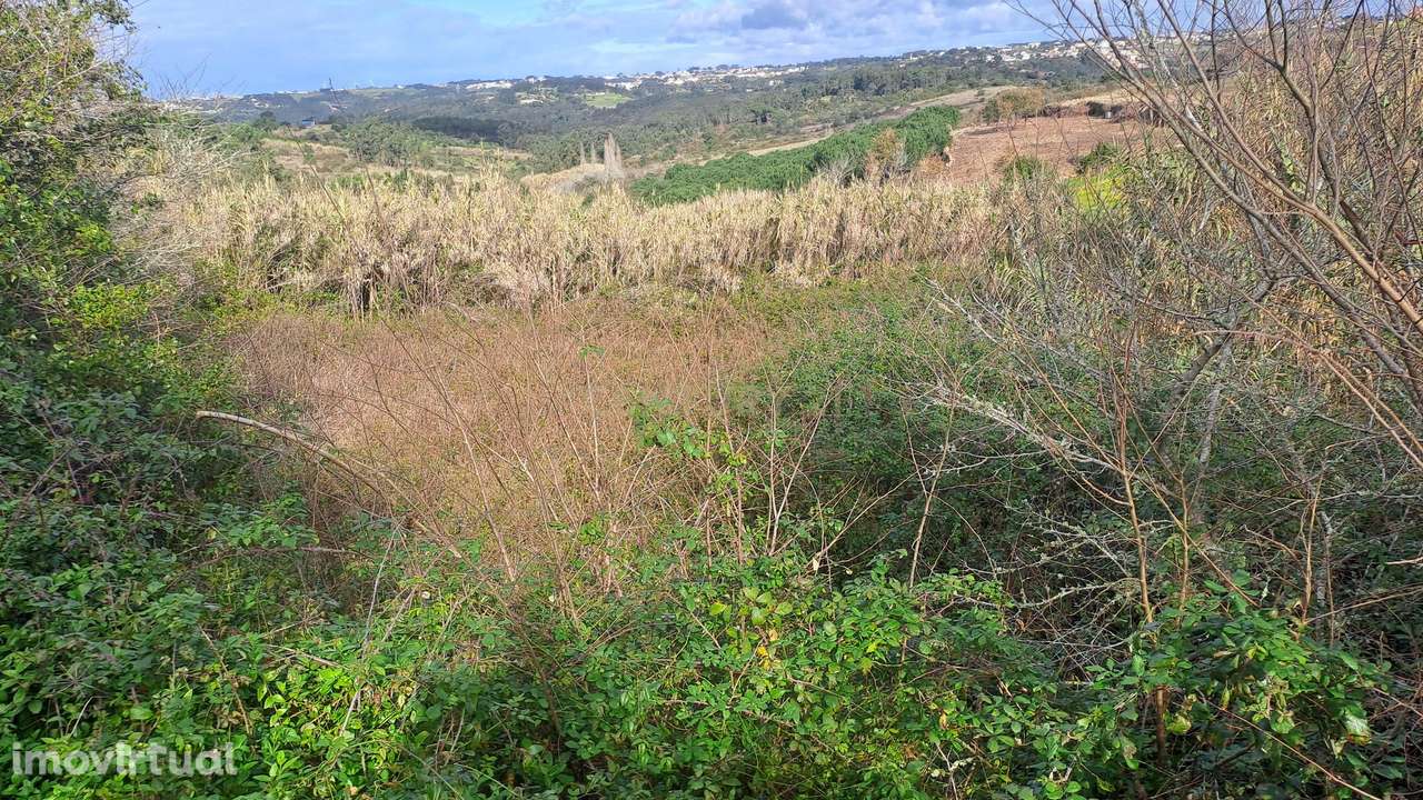 Terreno Agrícola - São João das Lampas - Grande imagem: 2/7