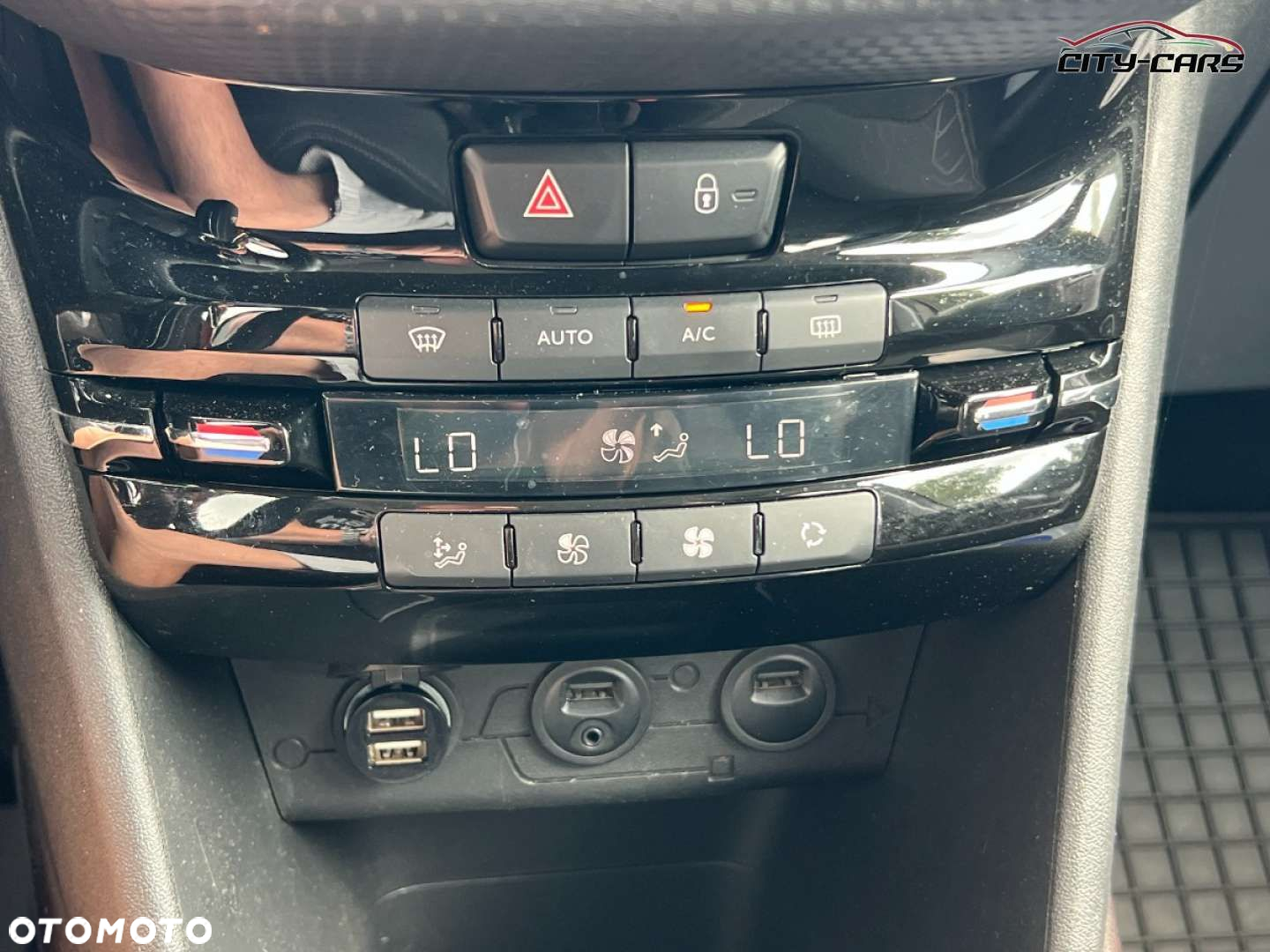 Peugeot 2008 - 19