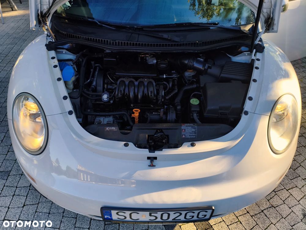 Volkswagen New Beetle 1.6 - 19