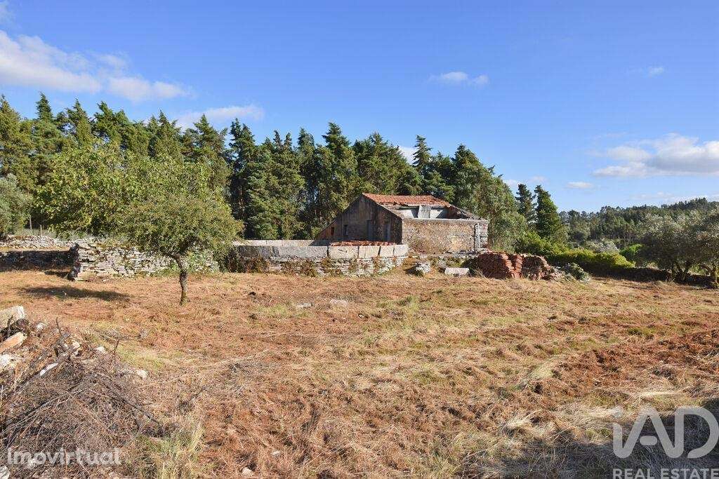 Terreno em Condeixa-a-Velha e Condeixa-a-Nova - Grande imagem: 2/27